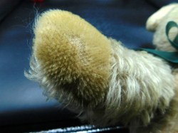 beige bear green ribbon c
